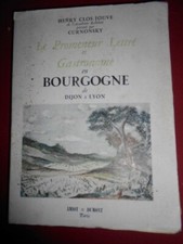 Le promeneur lettré et