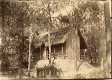France, forest hut vintage albumen print albumen print 12x17 Cir