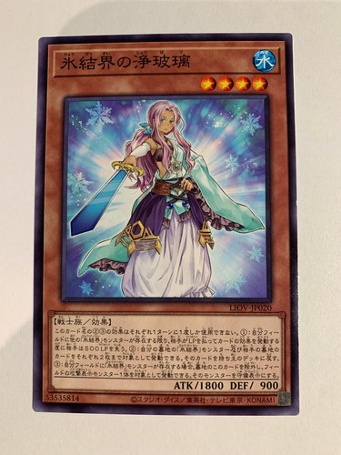 Judge of the ice - judge,