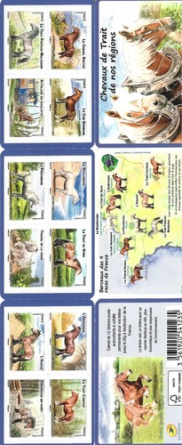Carnet chevaux traits - carnet, de