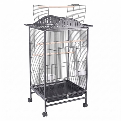 Enclos oiseaux sur - enclos,