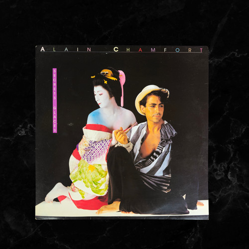 Disque vinyle 33 tours - 💿,