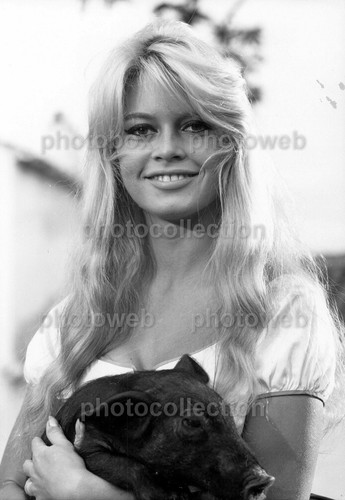 Brigitte bardot exclusive - brigitte,