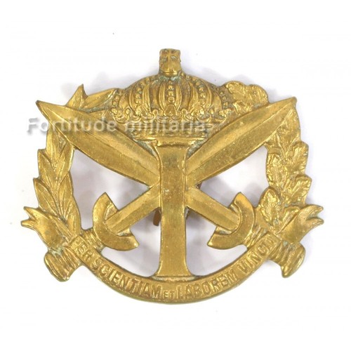 Insigne belge coiffure - de,
