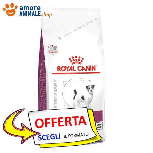 Royal canin chien - chien, →