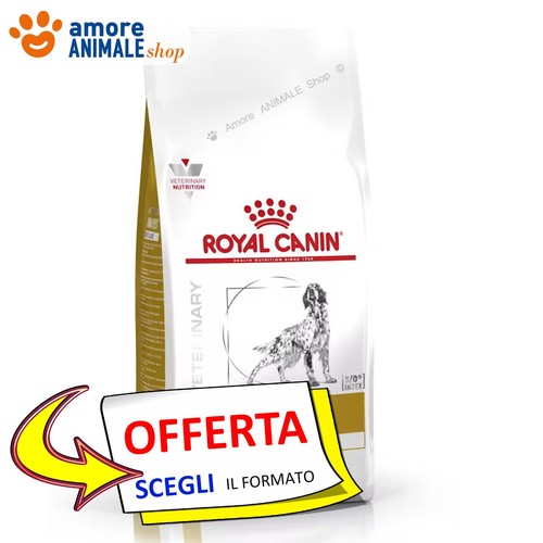 Royal canin chien - chien, →