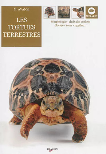 Les tortues terrestres marta - les, terrestres,