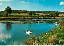 Postcard - 80 - Gamaches - The