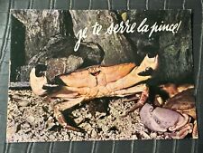 Antique Postcard Humorous Animals Printer Combier Mâcon