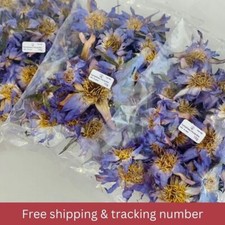 Lotus bleu fleur entière