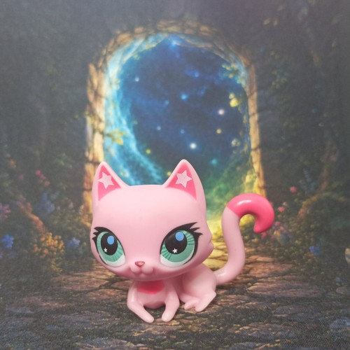 Chat sphynx 2851 littlest - chat,