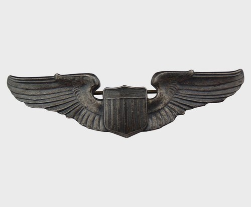Brevet pilote pilot - de,
