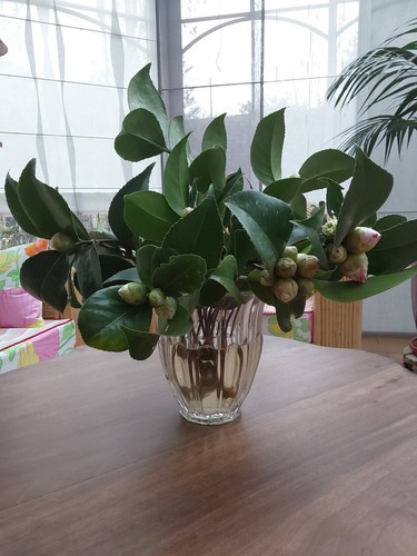 Val saint lambert vase - saint,