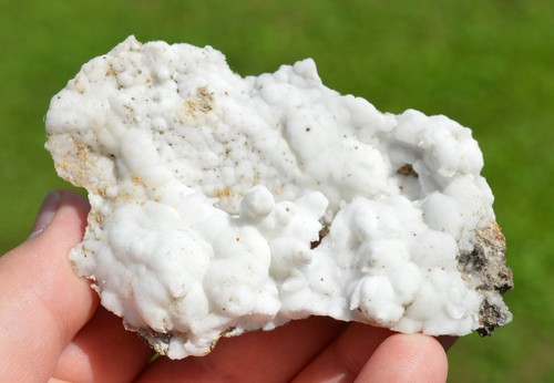 Aragonite flos ferri 62 - aragonite, "flos