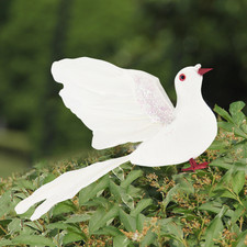 Ornement Paix Mariage Colombe