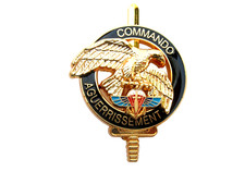 BREVET DES COMMANDOS 1° RPIMA