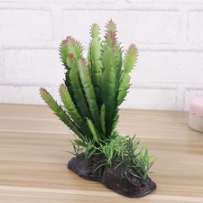 Terrarium Tortue Bol D'eau