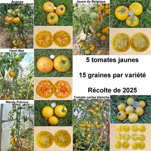 Graines 5 variétés de - graines,