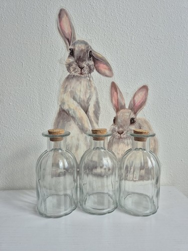 Lot bocaux en verre - en,
