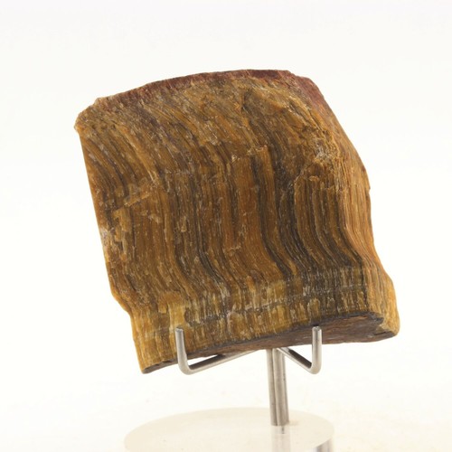Tiger eye 338 - eye., ct