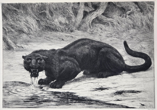 Eau forte originale - , 1901
