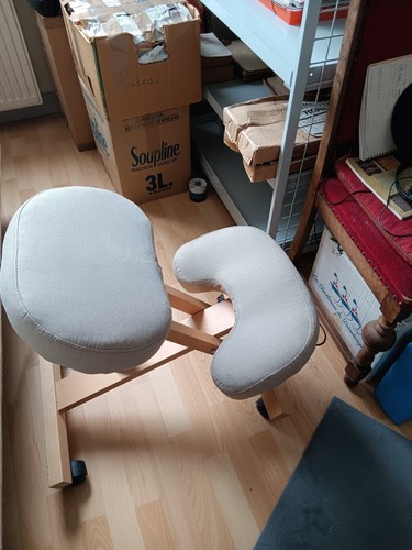 Chaise bureau ergonomique - chaise, de