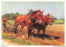 APKP10-0751-AGRICULTURE - ploughing with a horse plow