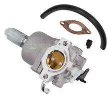 Carburateur pour Briggs &