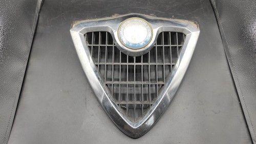 Grille radiateur centrale - radiateur,