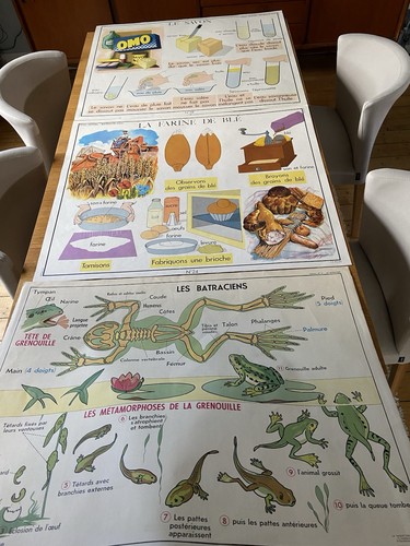 Lot affiches scolaires - lot,