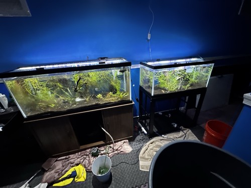 Fish tanks 40 - tanks, 75/40