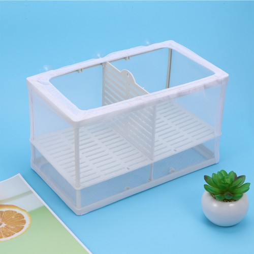 Boite élevage poisson - boite,