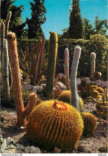 Carte postale fleurs - postale,