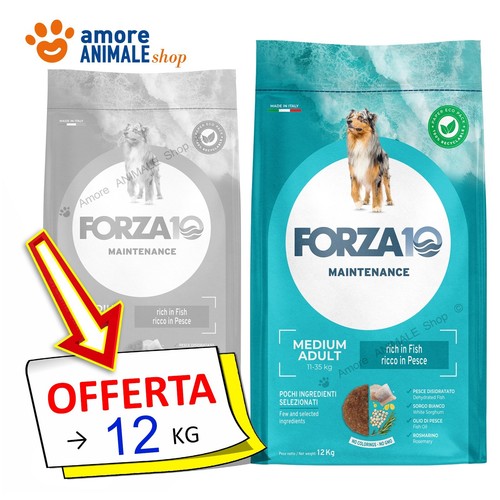 Forza10 chien entretien - forza10, →
