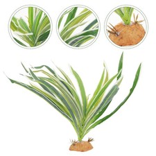  Décor Pour Terrarium Plantes