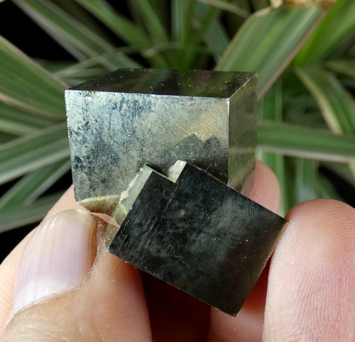 Cubes pyrite dorée brillant - cubes,