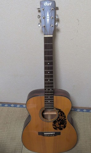 Guitare acoustique cort - acoustique,