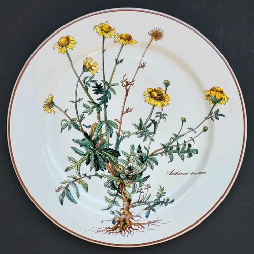 Sublime assiette plate signée - plate,
