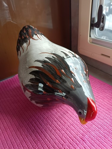 Trés belle poule - trés,