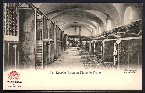 Cpa bruxelles palais royal - cpa,