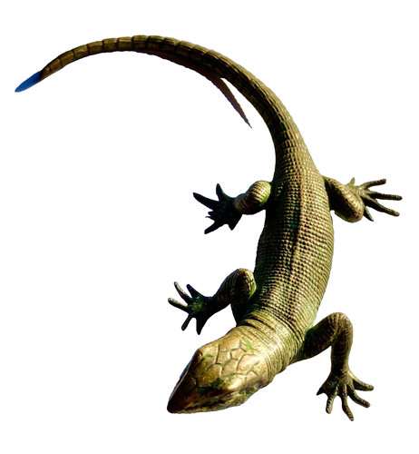Lézard salamandre ancien - lézard,