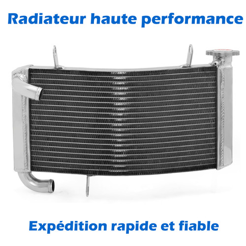 Radiateur refroidisseur - radiateur,