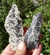 Top Lot 2 Flint Cut Moucheté! 9cm Neolithic France Allais Tool Rare