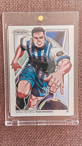 Evan ferguson manga - ferguson, ssp