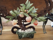 Vintage Arbre Fruitier Bonsaï