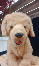 Chien robot Automate