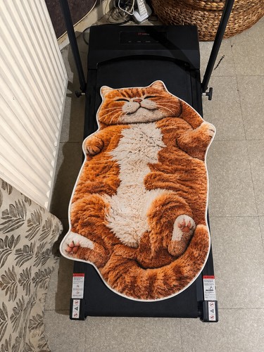 Tapis forme chat - tapis,