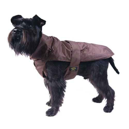 Fashion dog manteau - dog, chien