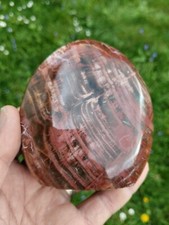 Bois Fossile Forme Libre