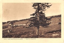 CPA 88 LES HAUTE CHIMES TURF MARTIN